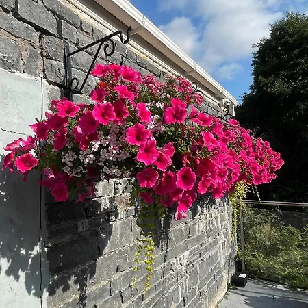 ضيافة شاندون بيلز 3* كورك