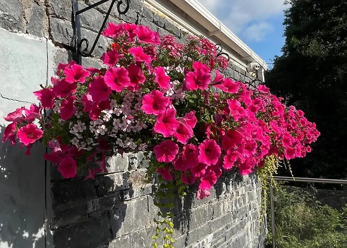 Shandon Bells 3* Cork